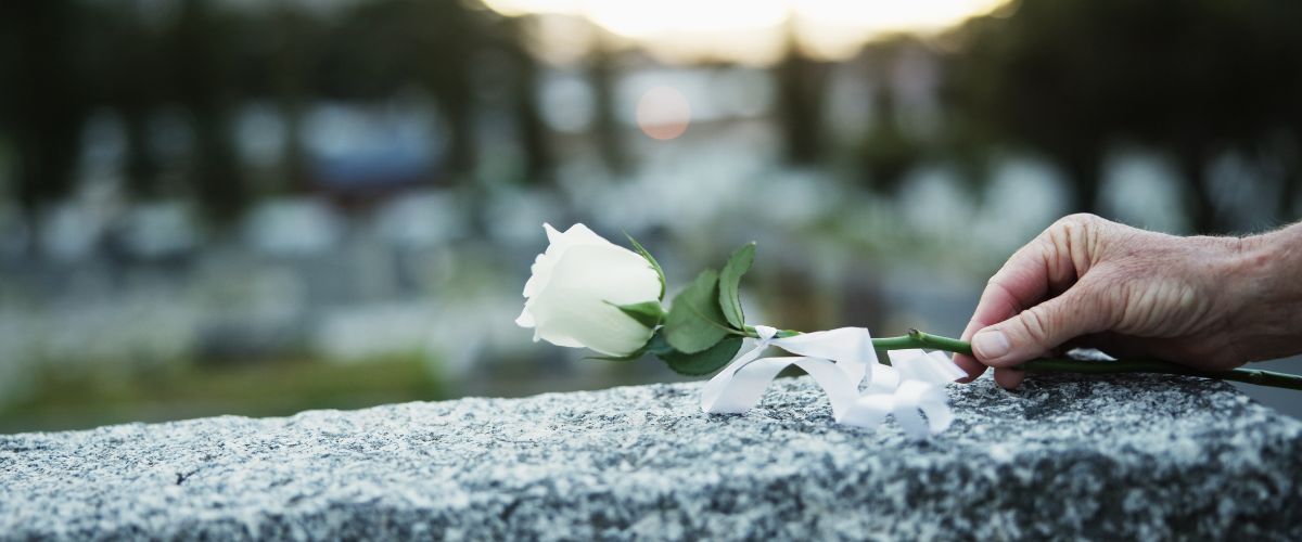 Close up of a hand placing a white rose on a gravestone